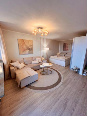 Penthouse studio apartment with terrace near Audi